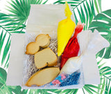 Surf's Up Cookie Decorating Kit - nut free