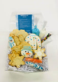 Winter Cookie Decorating Kit